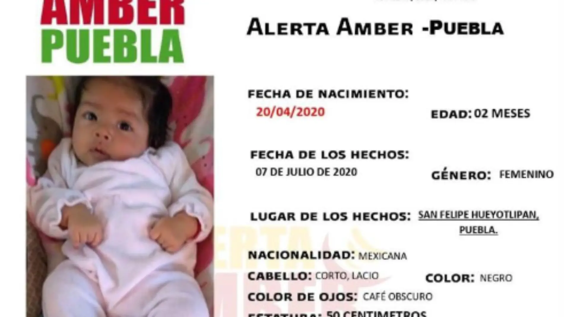 ALERTA AMBER